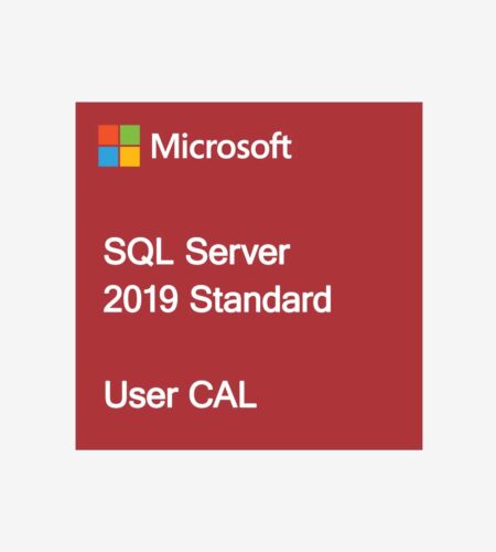 MS SQL Server 2019 Standard User CAL