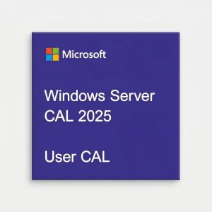 Microsoft Windows Server CAL 2025 Hungarian 1pk DSP OEI 1 Clt User CAL
