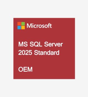 MS-SQL-Standard-2025